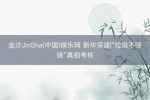 金沙JinSha(中国)娱乐网 新华深读|“垃圾不够烧”真相考核