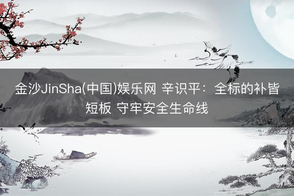 金沙JinSha(中国)娱乐网 辛识平：全标的补皆短板 守牢安全生命线