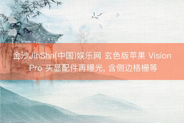 金沙JinSha(中国)娱乐网 玄色版苹果 Vision Pro 头显配件再曝光， 含侧边格栅等